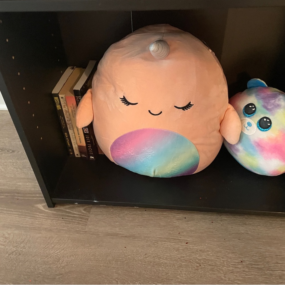 Genuine Squishmallows multi colored extremely soft & clean. With tags & without